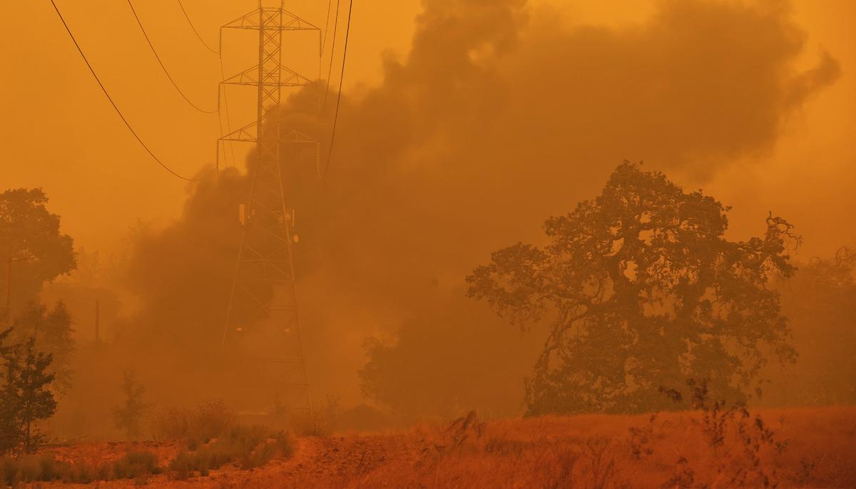Man Saves 40 Homes, 400 Lives From Glass Fire With His Vintage Bulldozer
