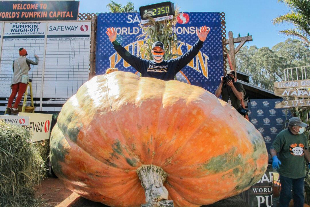 Pumpkin From ‘Halloween Capital of the World’ Wins Annual Weigh-Off