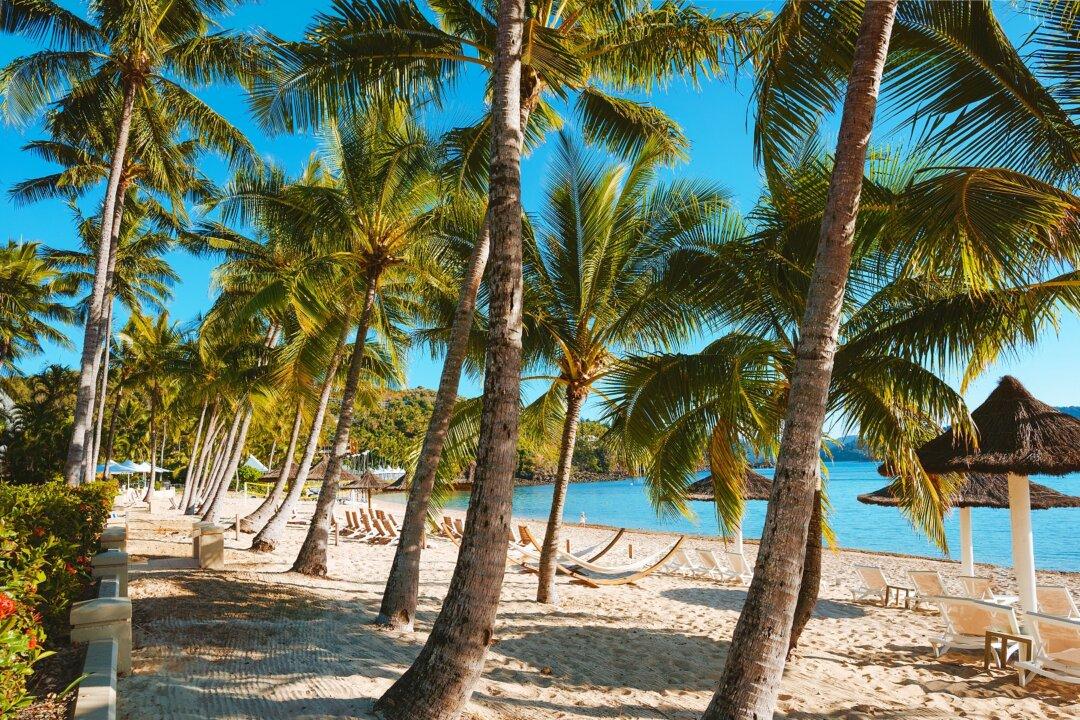 Australian Travel Agents Need to Be ‘Forward-Thinking in This Extraordinary Time’: Tourism Expert