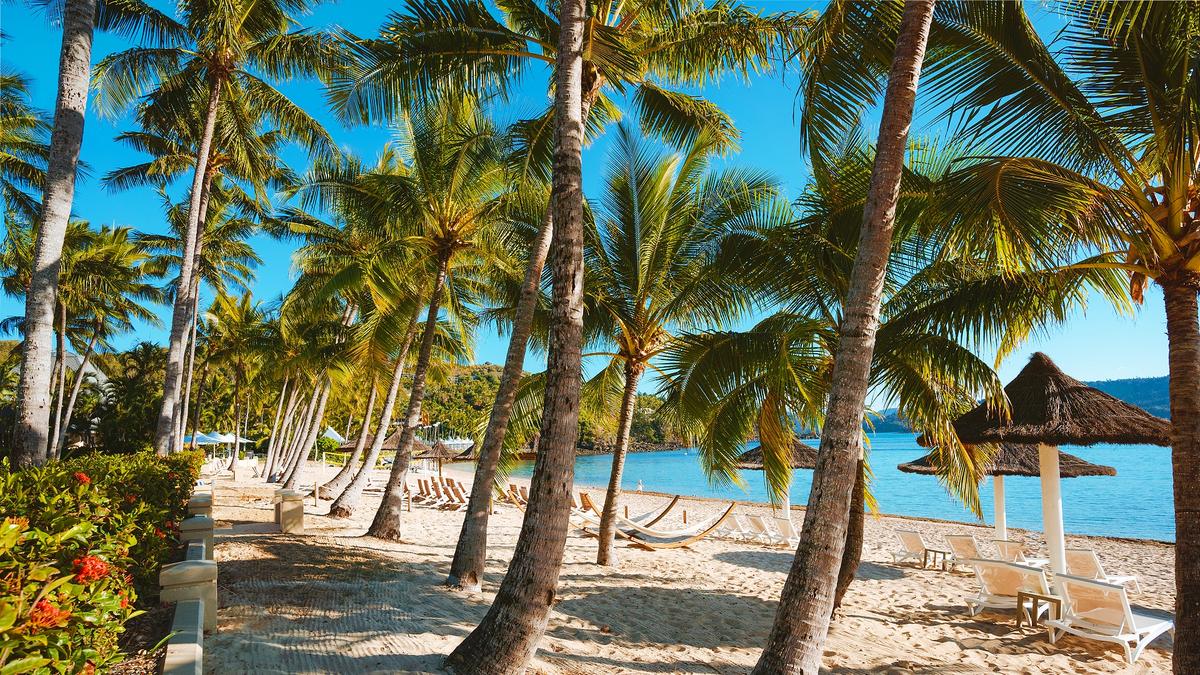 Australian Travel Agents Need to Be ‘Forward-Thinking in This Extraordinary Time’: Tourism Expert