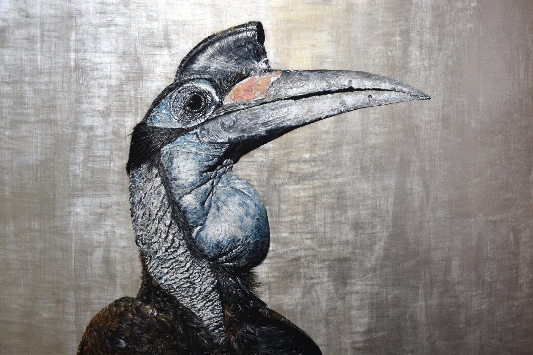 A Penchant for Peculiar Birds: Wildlife Artist of the Year Andrew Pledge’s Paintings