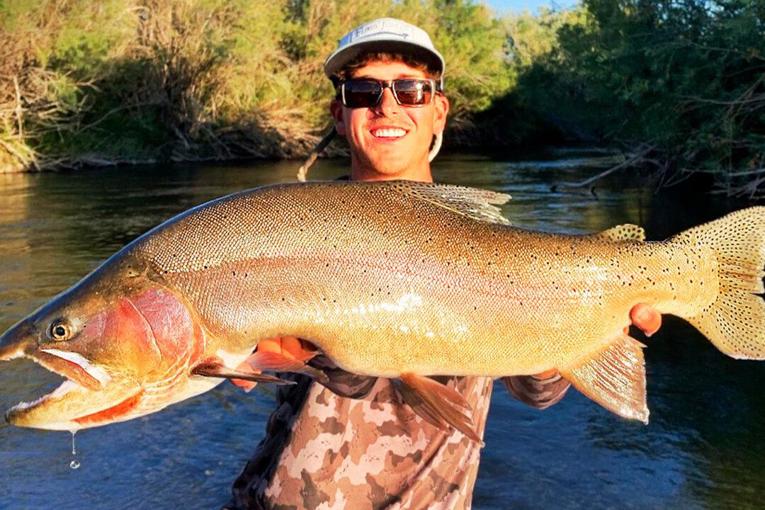 Fisherman Reels In Giant 30-Inch Yellowstone Cutthroat Trout, Breaks State Record