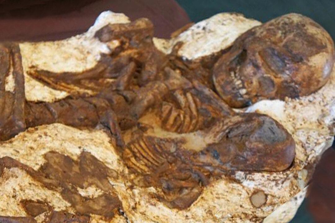 Mother’s Love Shines Through in 4,800-Year-Old Archeological Discovery