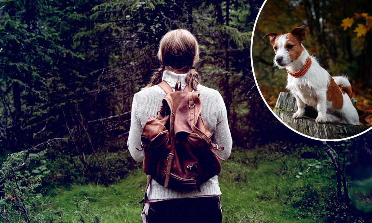 Kentucky Woman Lost in the Woods for 48 Hours Found by Search Dog Named Pocket