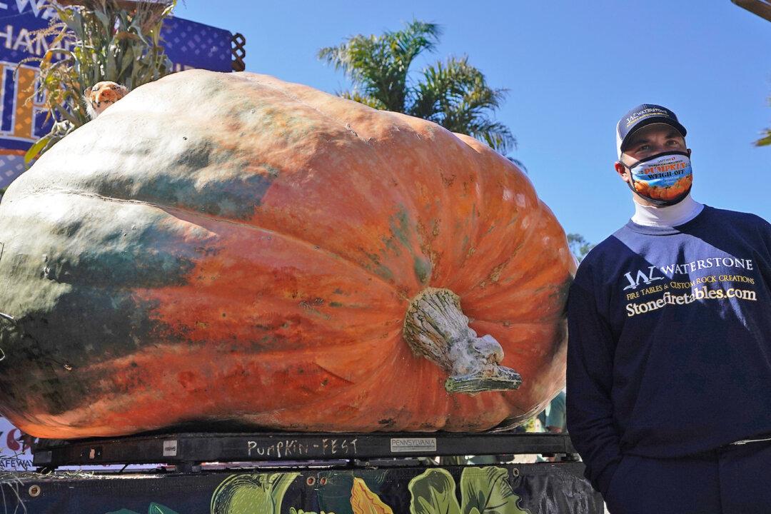 Minnesota Horticulture Teacher Wins California Contest for Pumpkin Weighing 2,350 lb