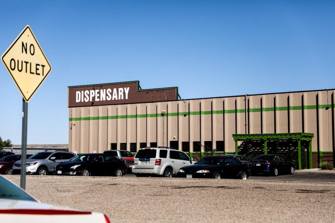 Michigan’s Recreational Cannabis Industry Shows Signs of Overgrowth