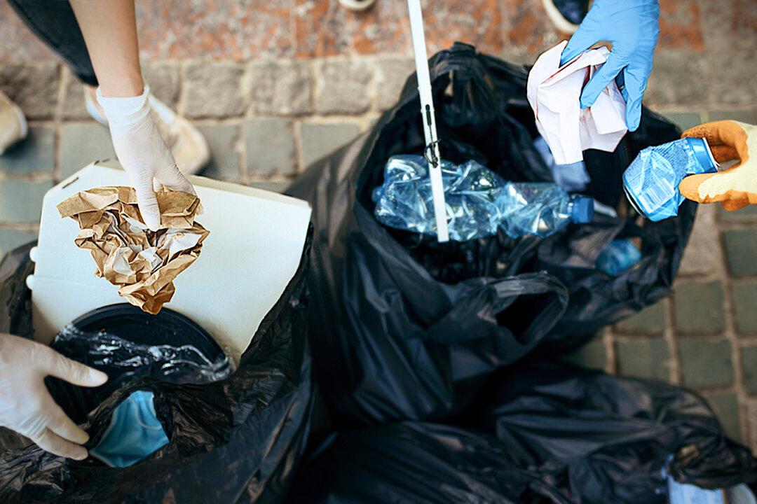3 Cincinnati Brothers Pick Up Trash in Their Neighborhood: ‘This Is Our Community Too’