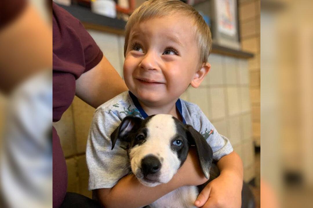 Toddler Born With a Cleft Lip Adopts Puppy With the Same Condition From a Michigan Shelter