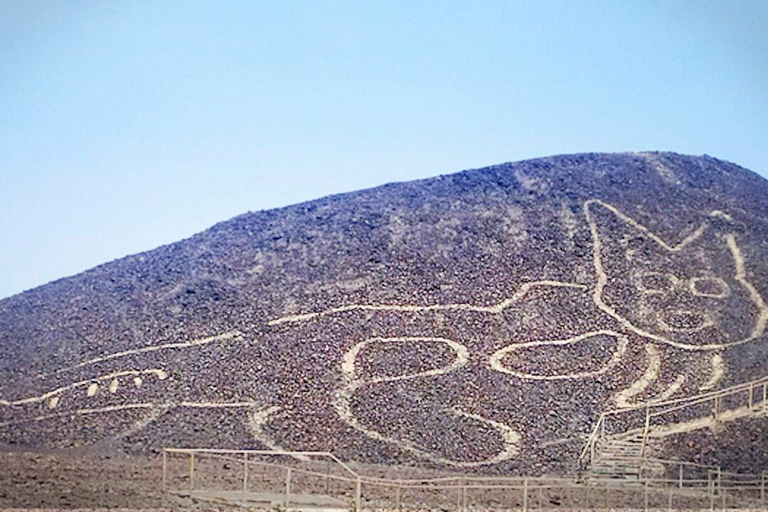 Huge 2,000-Year-Old ‘Relaxing Cat’ Geoglyph Found Etched into Peruvian Hillside