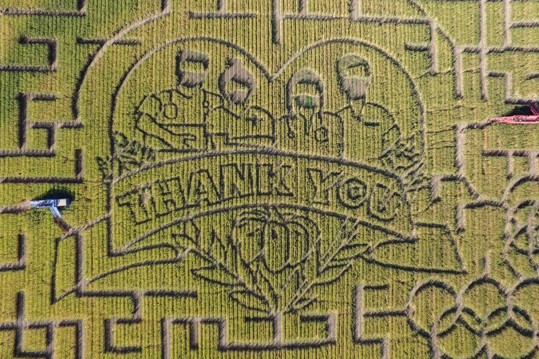 California’s Largest Corn Maze Dedicates Theme to Healthcare Workers and First Responders