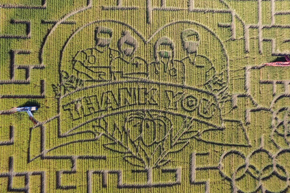 California’s Largest Corn Maze Dedicates Theme to Healthcare Workers and First Responders
