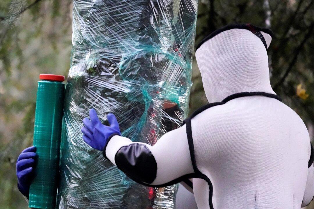 Washington State Eradicates First ‘Murder Hornet’ Nest of the Year