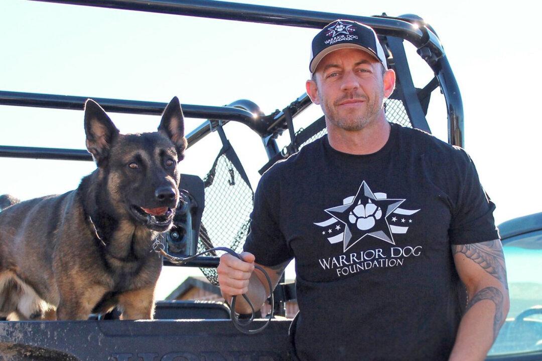 Ex-Navy SEAL Helps ‘Unadoptable’ Military K9s to Rehabilitate and Find Loving Homes After Service