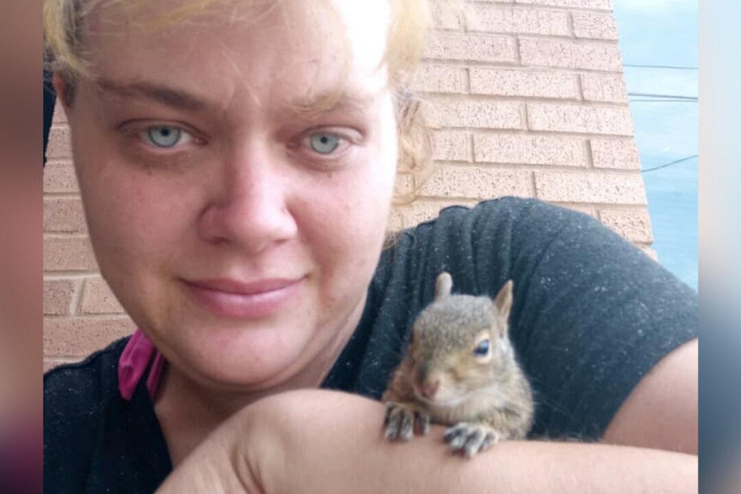 Homeless Couple Save Starving Baby Squirrel From Busy Road, Share Food to Keep Him Alive