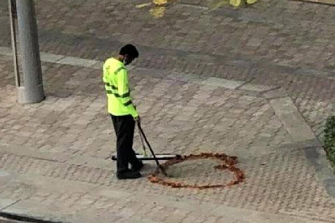 Cleaner Draws Heart on Sidewalk With Leaves, Longs to See Family Amid Pandemic