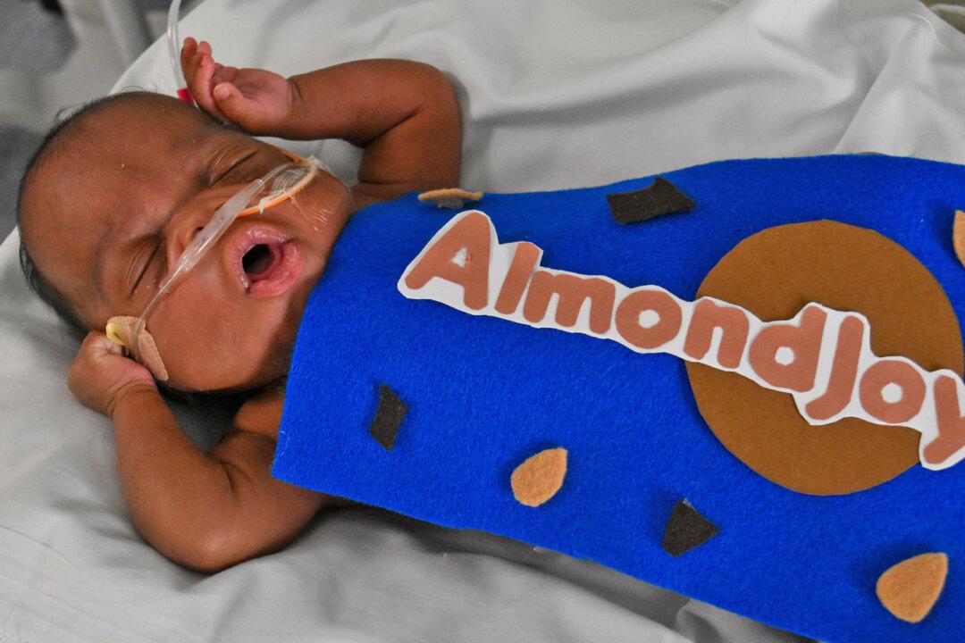 NICU Babies Celebrate Halloween With Adorable Handmade Costumes at Florida Hospital
