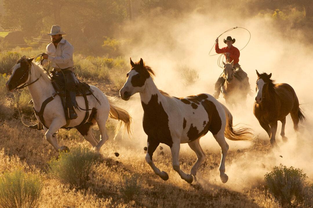 Mamas, Don’t Let Your Cowboys Grow Up to Be Babies