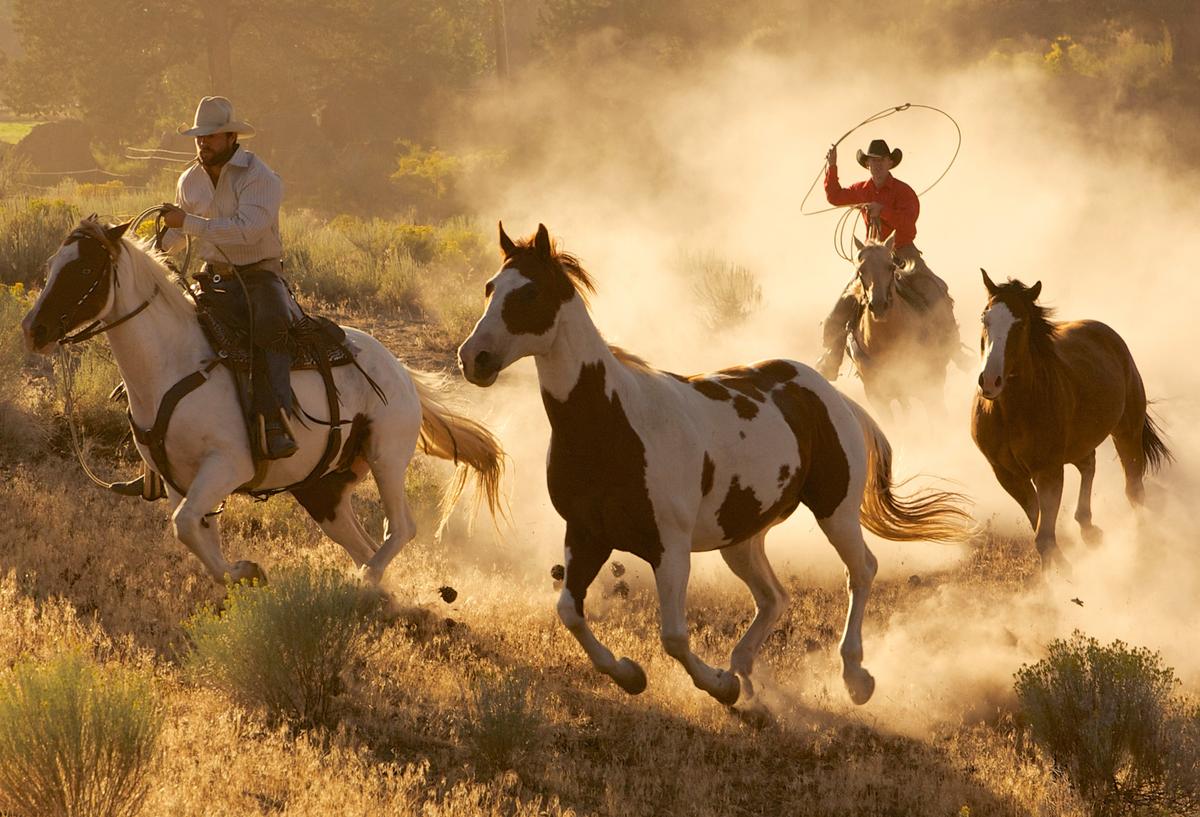 Mamas, Don’t Let Your Cowboys Grow Up to Be Babies
