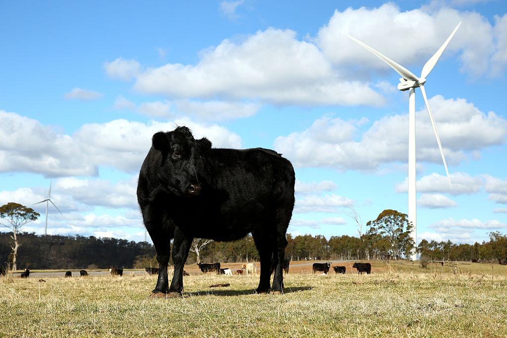 Federal Government to Help Dairy Farms Reduce Energy Bills and Lower Emissions