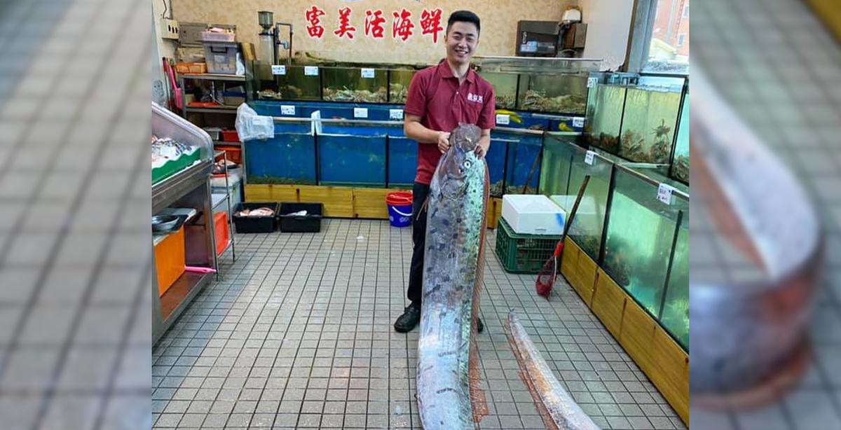 16-Foot ‘Earthquake Fish’ Caught After Quakes Strike Coast of Taiwan