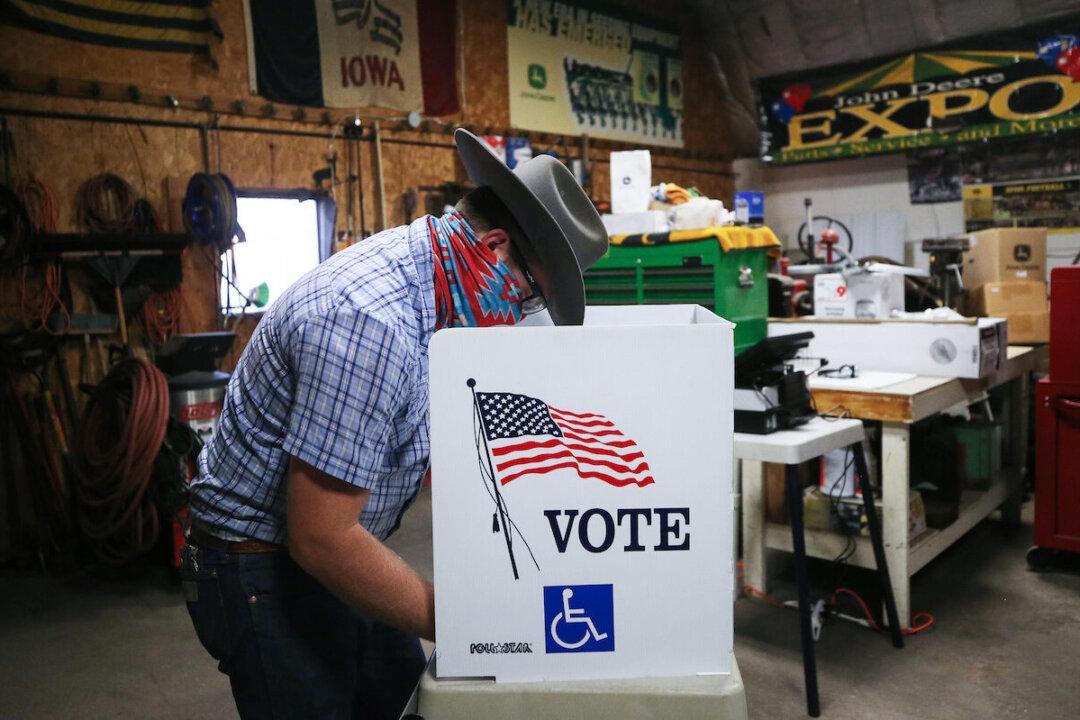 The US Election: Total Organ Failure