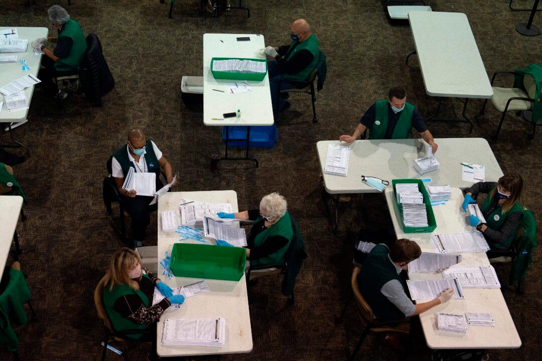 Election Expert: Voters Should Volunteer as Poll Workers to Boost Confidence in Election Outcome