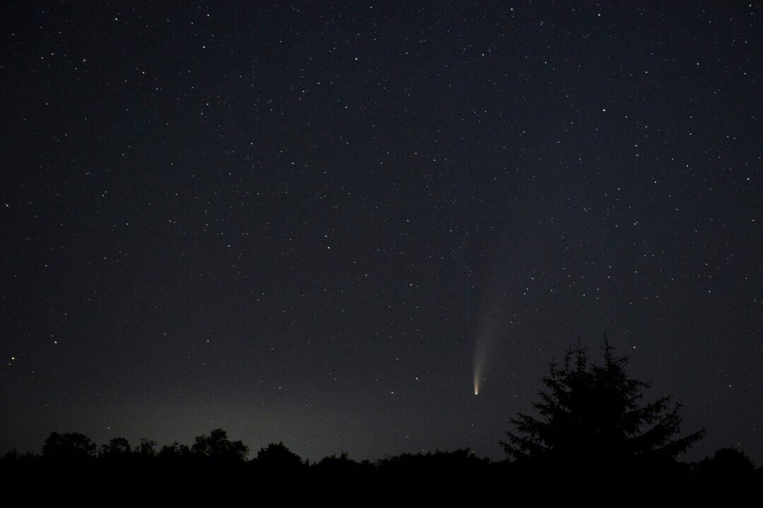 Astronomers Discover Source of Radio Wave Bursts