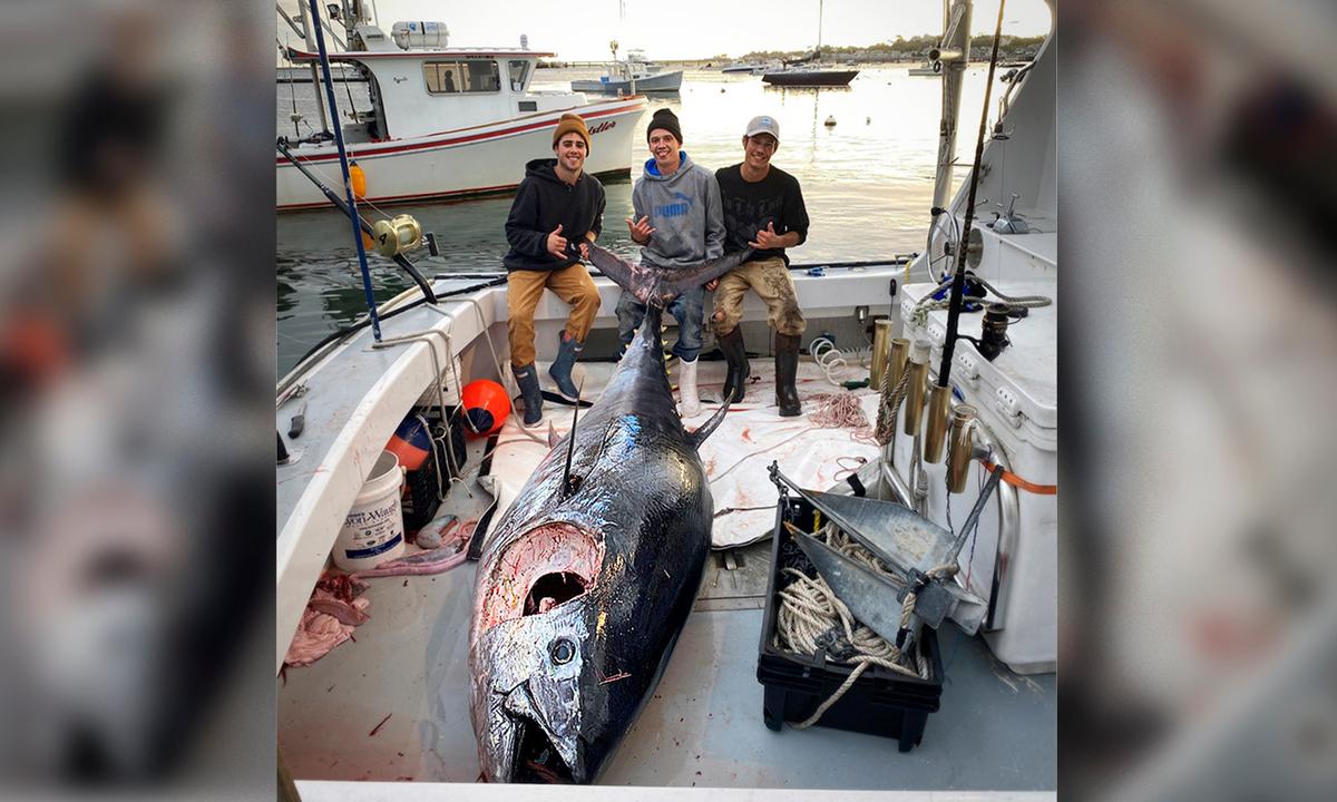 Teen Fishermen Reel In ‘Absolute Beast’ 10-Foot Bluefin Tuna Weighing Over 1,000 Pounds