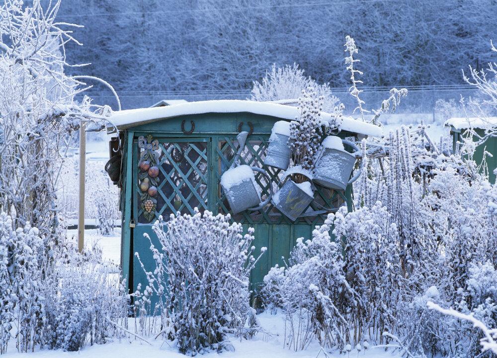 Preparing Your Garden for Winter
