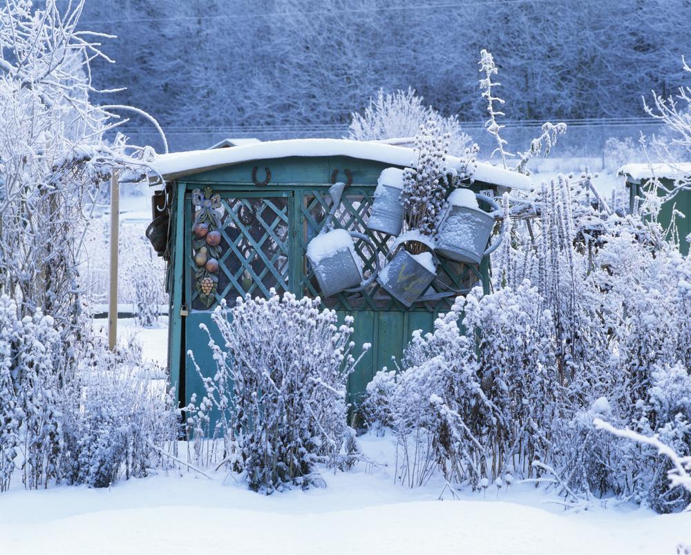 Preparing Your Garden for Winter