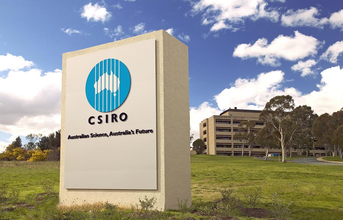 CSIRO Targets Invasive Weeds With Natural Enemies