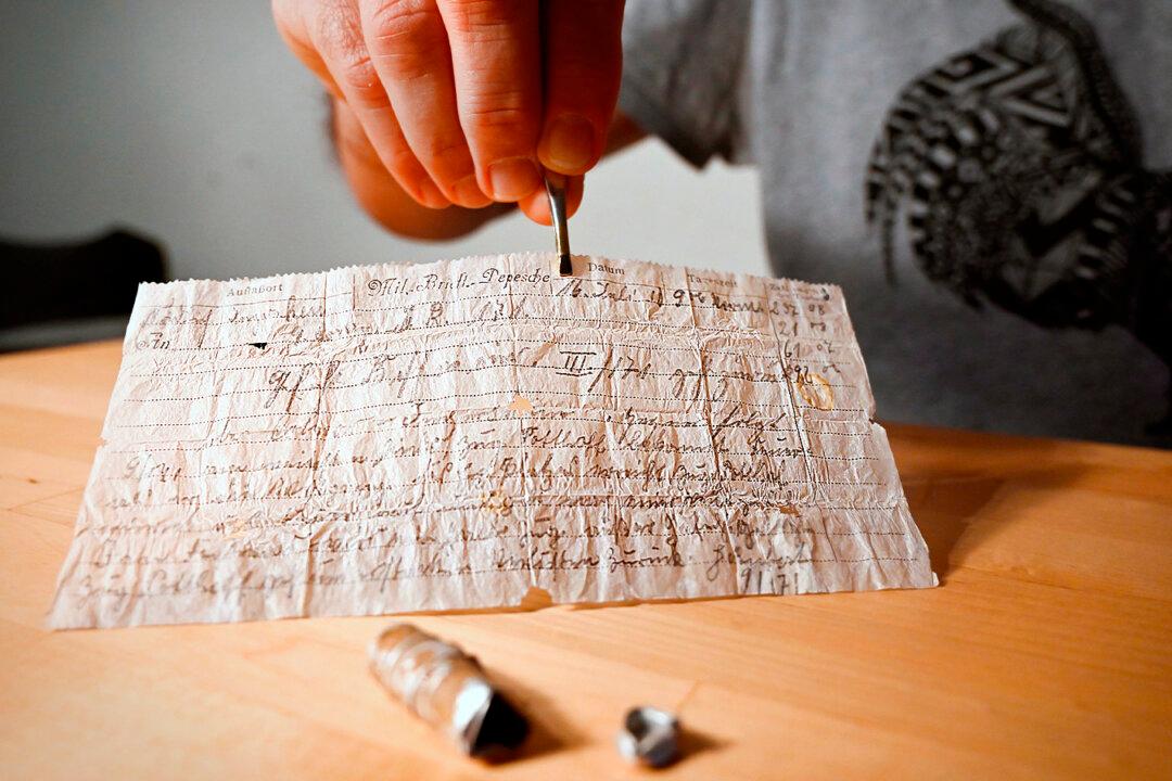 100-Year-Old WWI Carrier Pigeon Message Capsule Found Intact in France