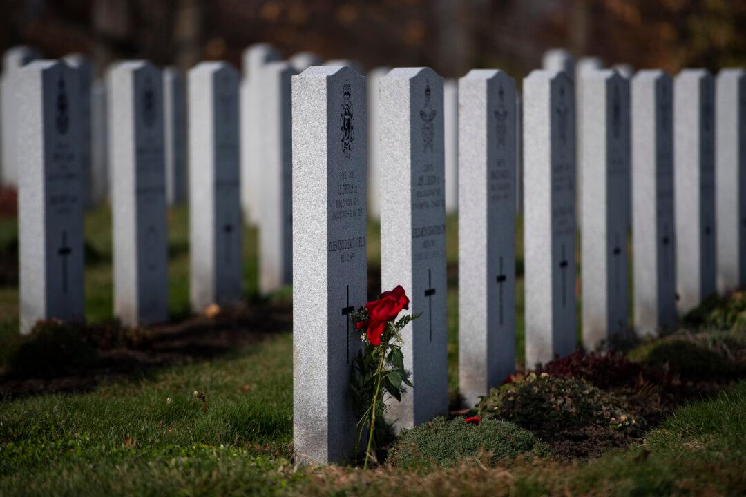 Military’s Aid in COVID-19 Fight Noted as Pandemic Restricts Remembrance Day Events