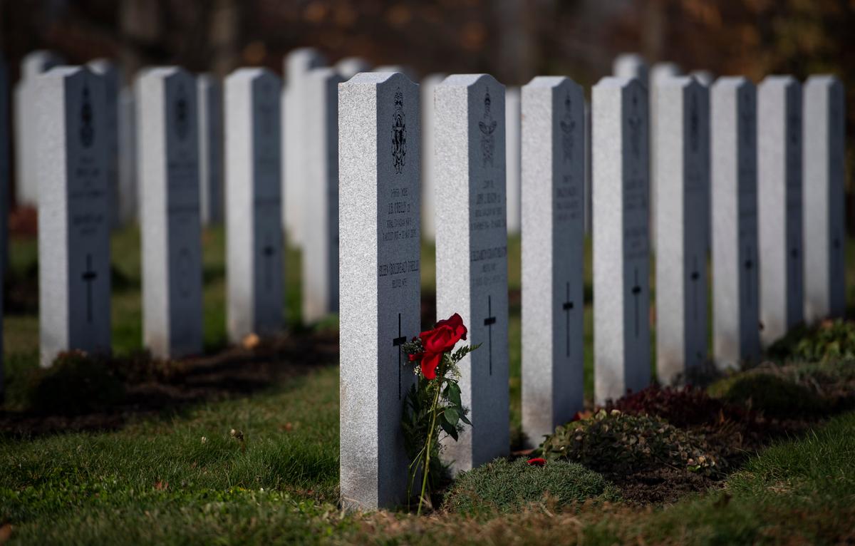 Military’s Aid in COVID-19 Fight Noted as Pandemic Restricts Remembrance Day Events
