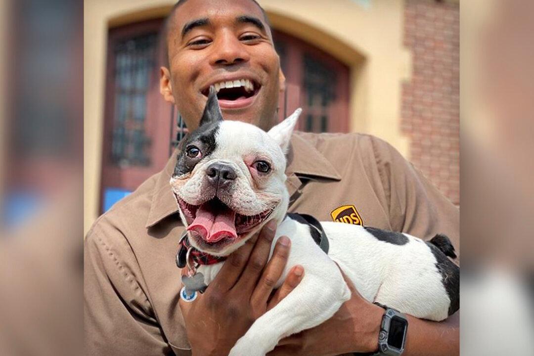 UPS Driver Snaps Selfies With the Dogs Along His Route–and His Instagram Goes Viral