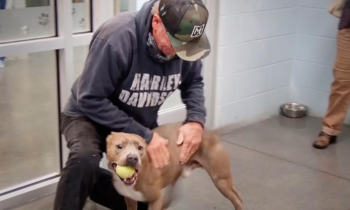 Man Spots His Lost Dog on the Internet 6 Months After Losing Him–and Their Reunion Video Is Amazing