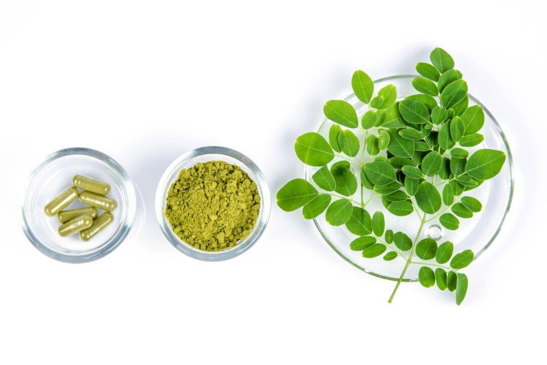 What Are the Benefits of Moringa Oleifera?