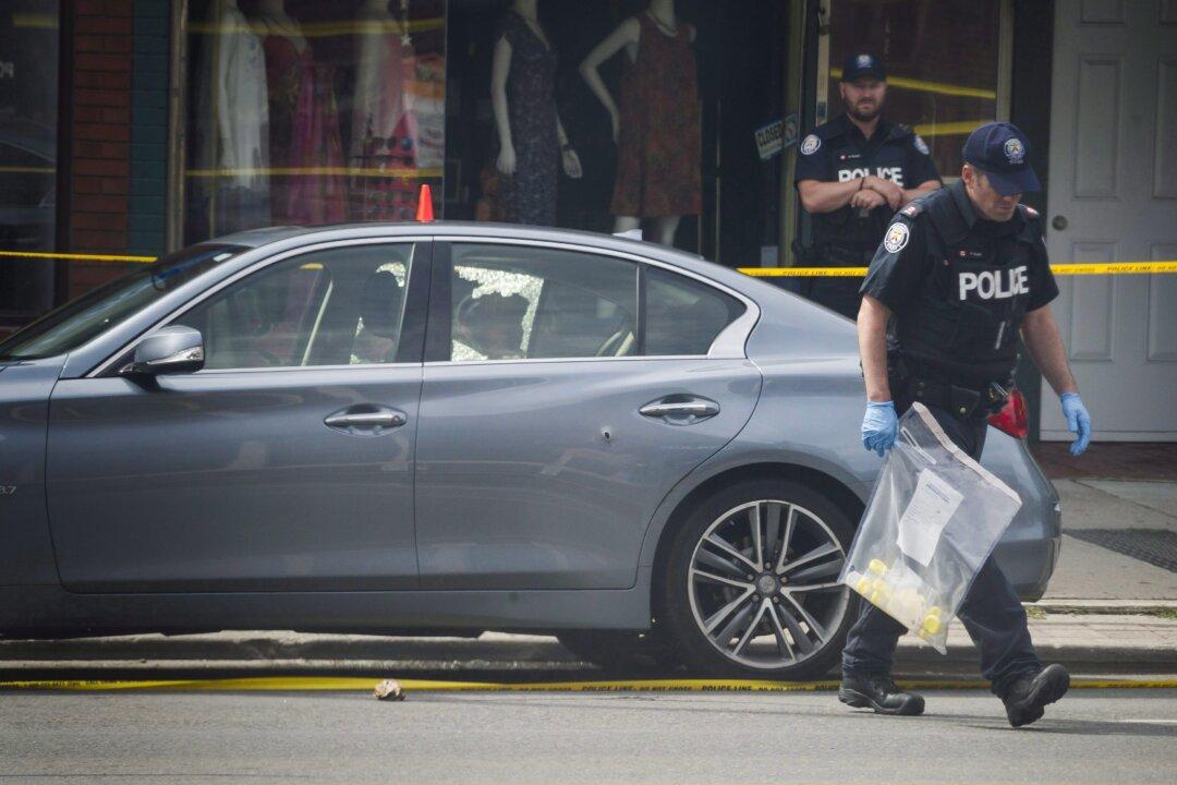 Toronto Gang Violence: Tracing Broader Societal Issues