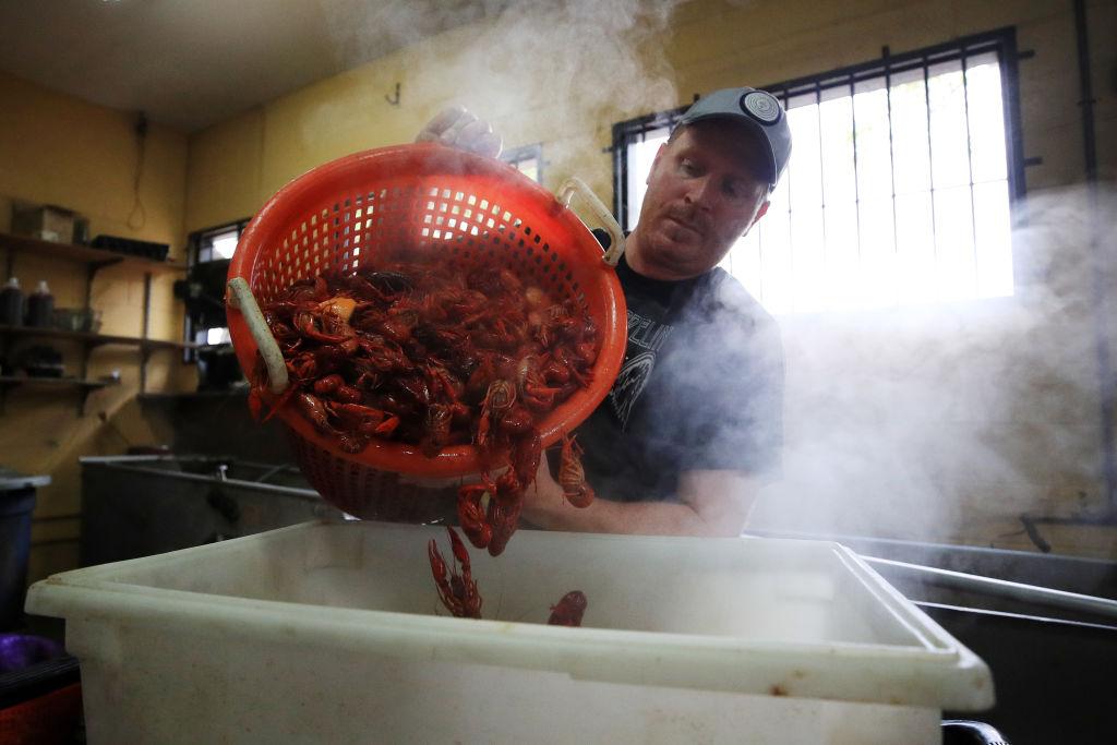 America Essay Contest: Each State in Our Union Has a Distinct Personality