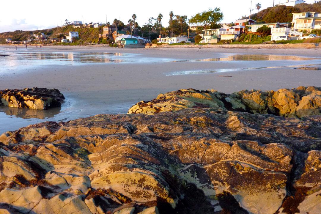 Passing a Pandemic Day at Crystal Cove State Park