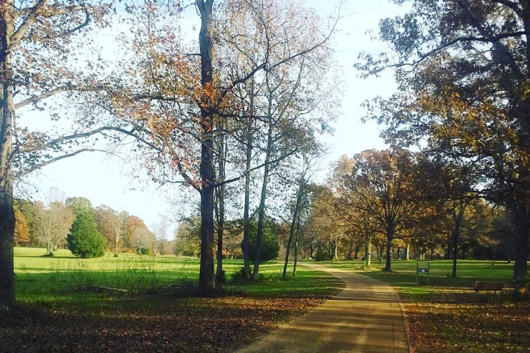 Cowpens: The Battle for Land and Country