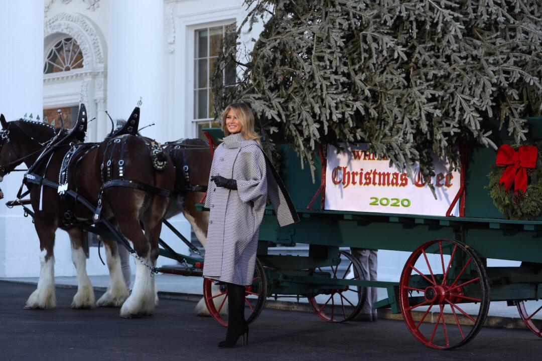 Melania Trump Welcomes Christmas Tree at White House