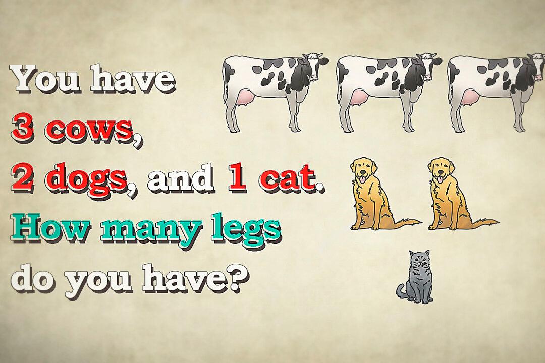 Can You Solve This Tricky Leg Riddle? You Have 3 Cows, 2 Dogs, and 1 Cat. How Many Legs Do You Have?