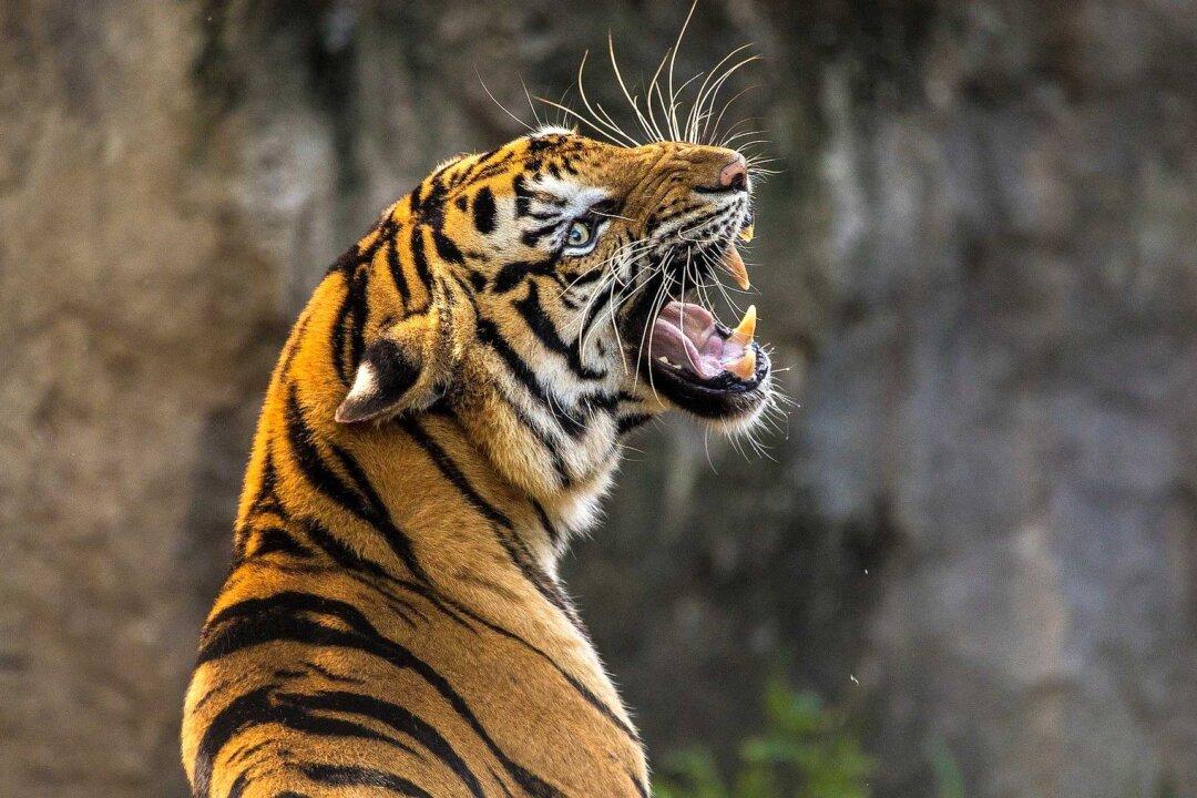 Discrimination and Prejudice