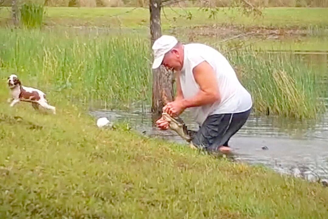 Florida Man Wrestles Alligator in Pond, Pries Open Its Jaws to Save His Small Dog