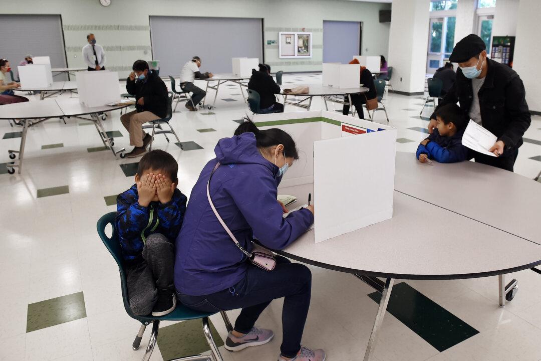 Group Prepares Legal Challenge in Hope of Overturning Senate, House Races in Virginia