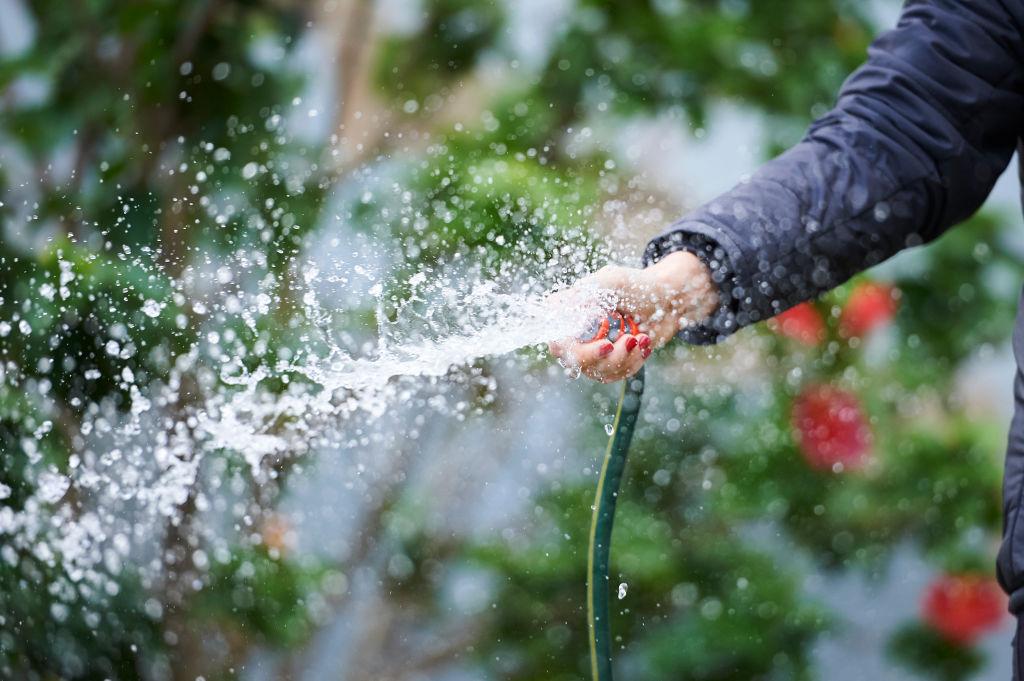 Water Restrictions Lifted for Sydney, People Can Hose Their Gardens, Cars