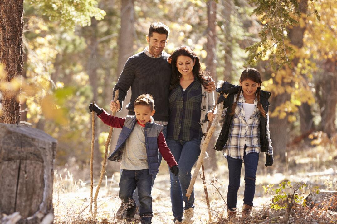 Stressed? Try a Dose of Nature