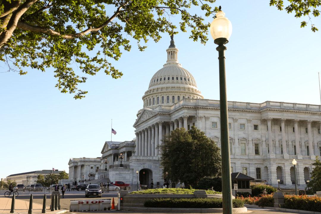 Majority of Americans Support Free Market Over Socialist Economic System: Poll