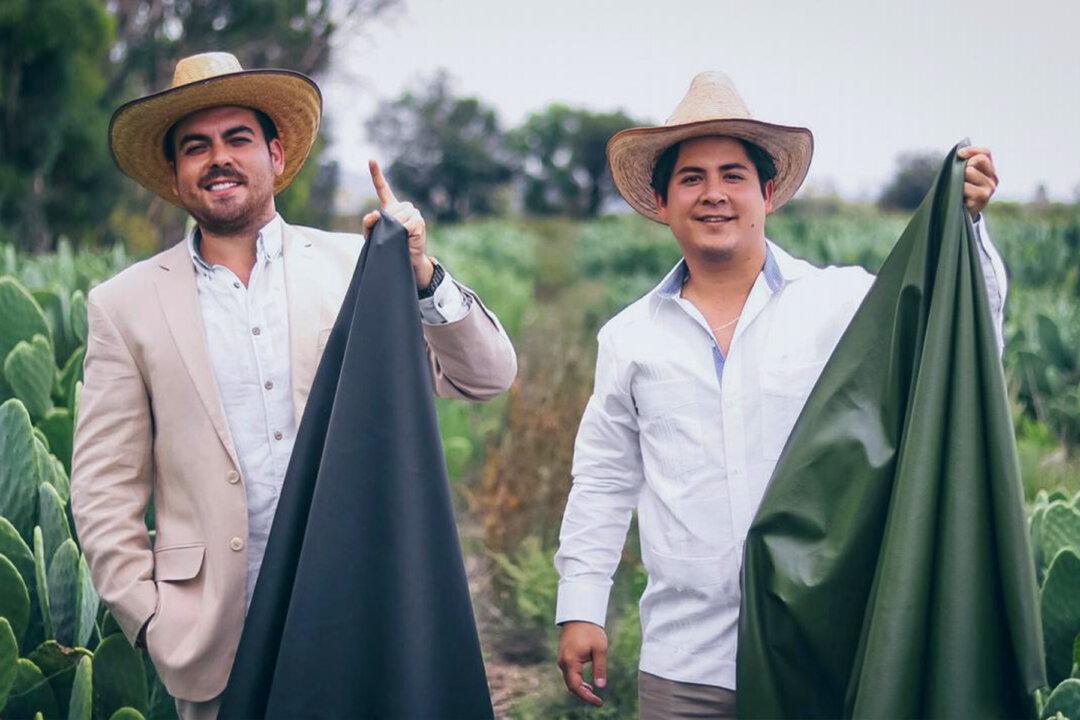 2 Mexican Friends Create Luxury ‘Cruelty-Free Leather’ From Dried Cactus Leaves
